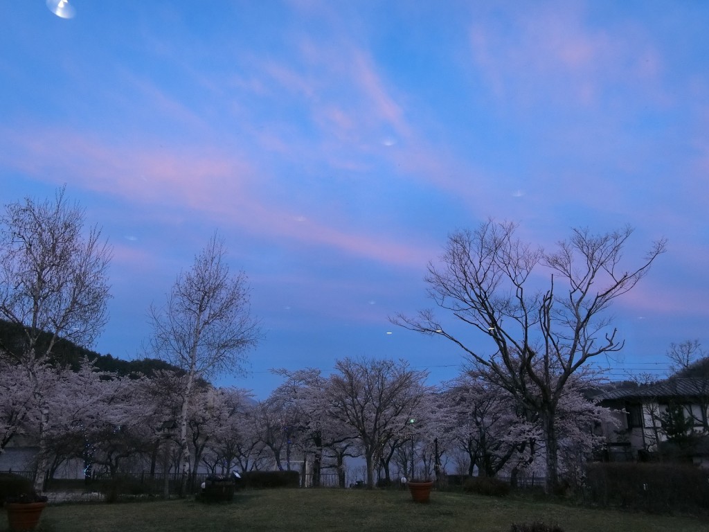 夜空