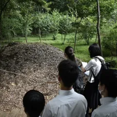 7月写真