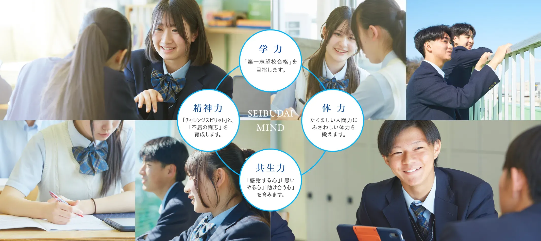 SEIBUDAI MIND