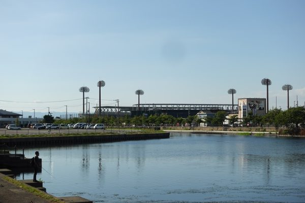 全国高等学校総合体育大会陸上競技大会2026